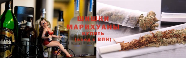 прущие грибы Беломорск