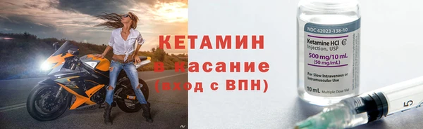 прущие грибы Беломорск