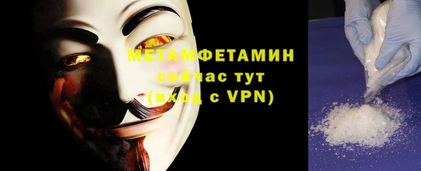 прущие грибы Беломорск